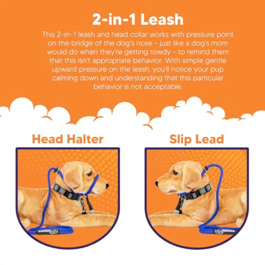 Sidekick NoPull Dog Leash For Urban Walks And Outdoor Adventures