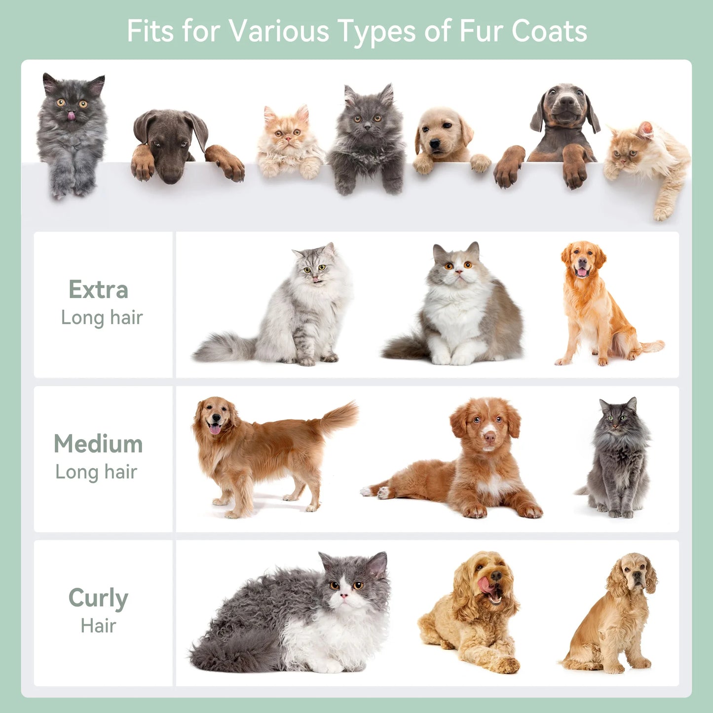 Darupsun 7 In 1 Dog Grooming Kit Vacuum Clipper Tool