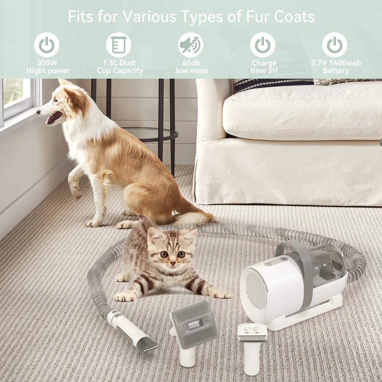 Darupsun 7 In 1 Dog Grooming Kit Vacuum Clipper Tool