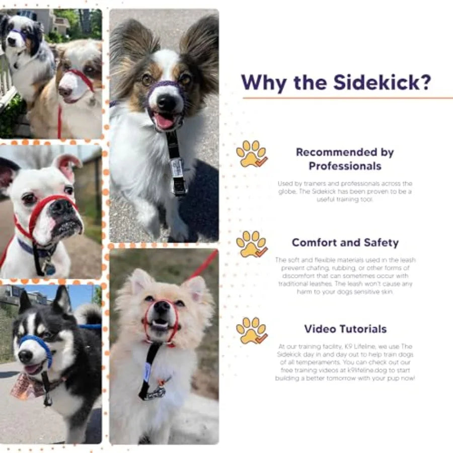 Sidekick NoPull Dog Leash For Urban Walks And Outdoor Adventures