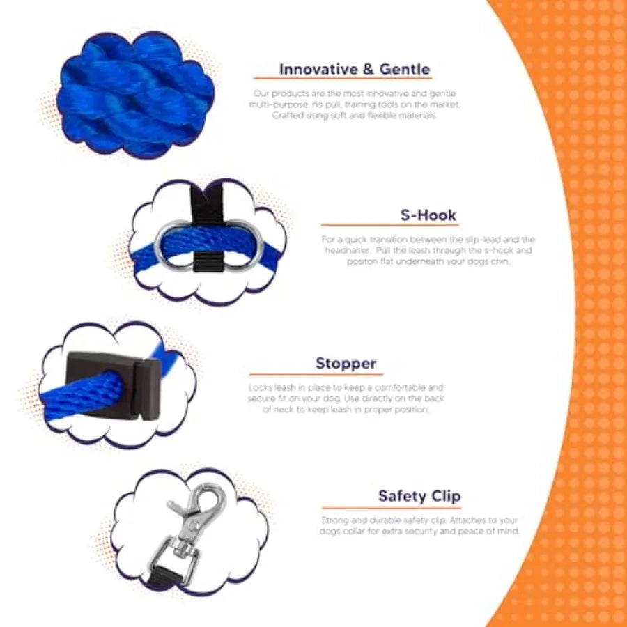 Sidekick NoPull Dog Leash For Urban Walks And Outdoor Adventures