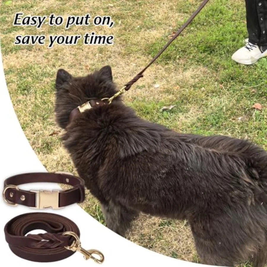 Heavy Duty Leather Dog Collar and Leash with Metal Buckle