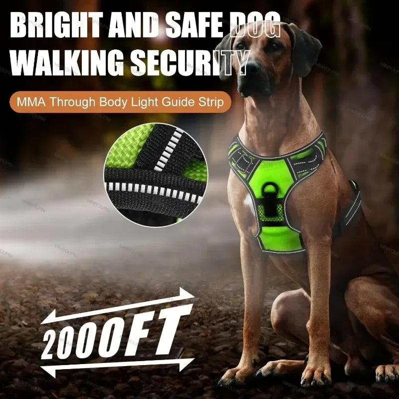 NONECN Led Luminous Dog Harness No Pull Adjustable Rechargeable Vest
