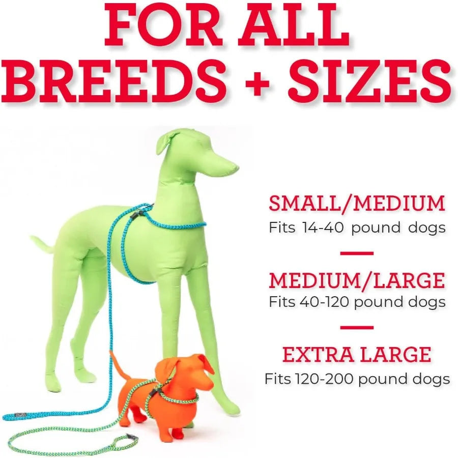 Anti Pull Dog Harness And Leash Set For All Breeds