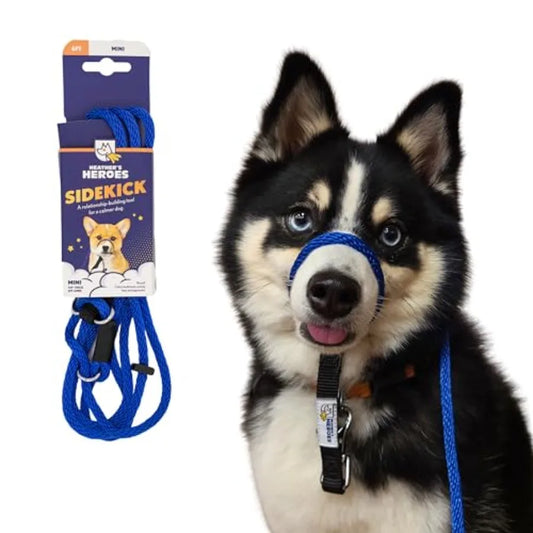 Sidekick NoPull Dog Leash For Urban Walks And Outdoor Adventures