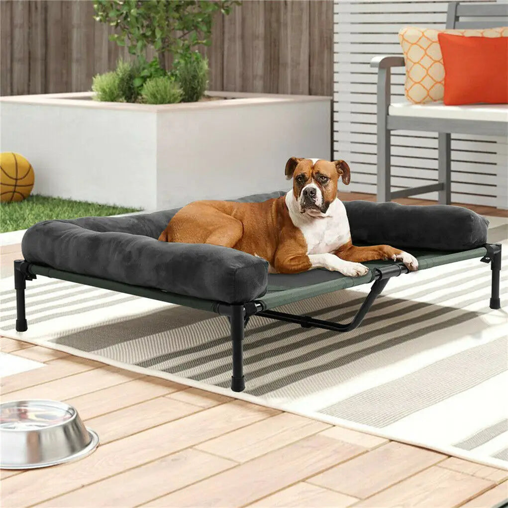 BINGOPAWCN Elevated Pet Bed Lounger for Dogs and Cats