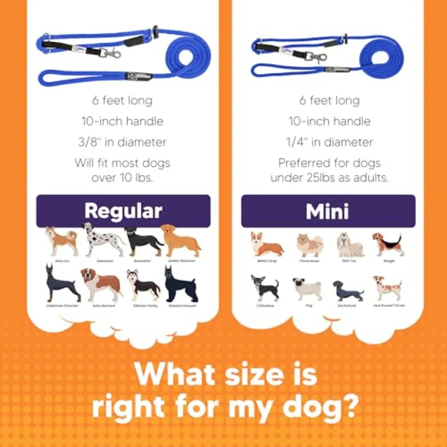 Sidekick NoPull Dog Leash For Urban Walks And Outdoor Adventures