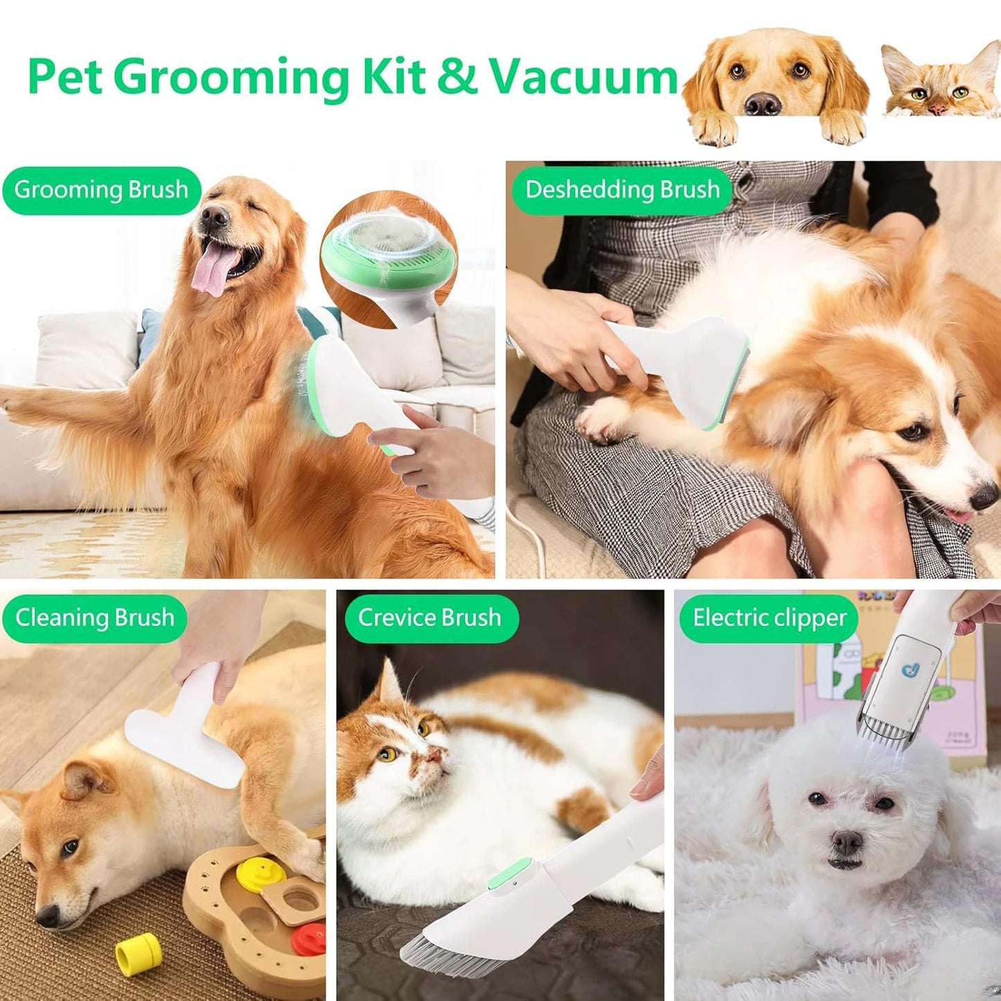 HiMISS Pet Grooming Kit With 2L Vacuum Suction 5 Tools For Dogs And Cats