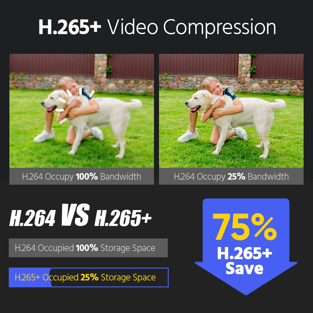 ANNKE 12MP Smart Dual Light Security Camera Kit With NVR