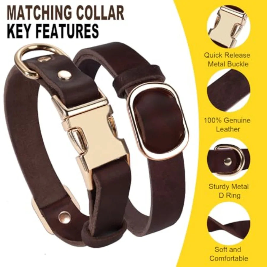 Heavy Duty Leather Dog Collar Leash Set With Metal Buckle