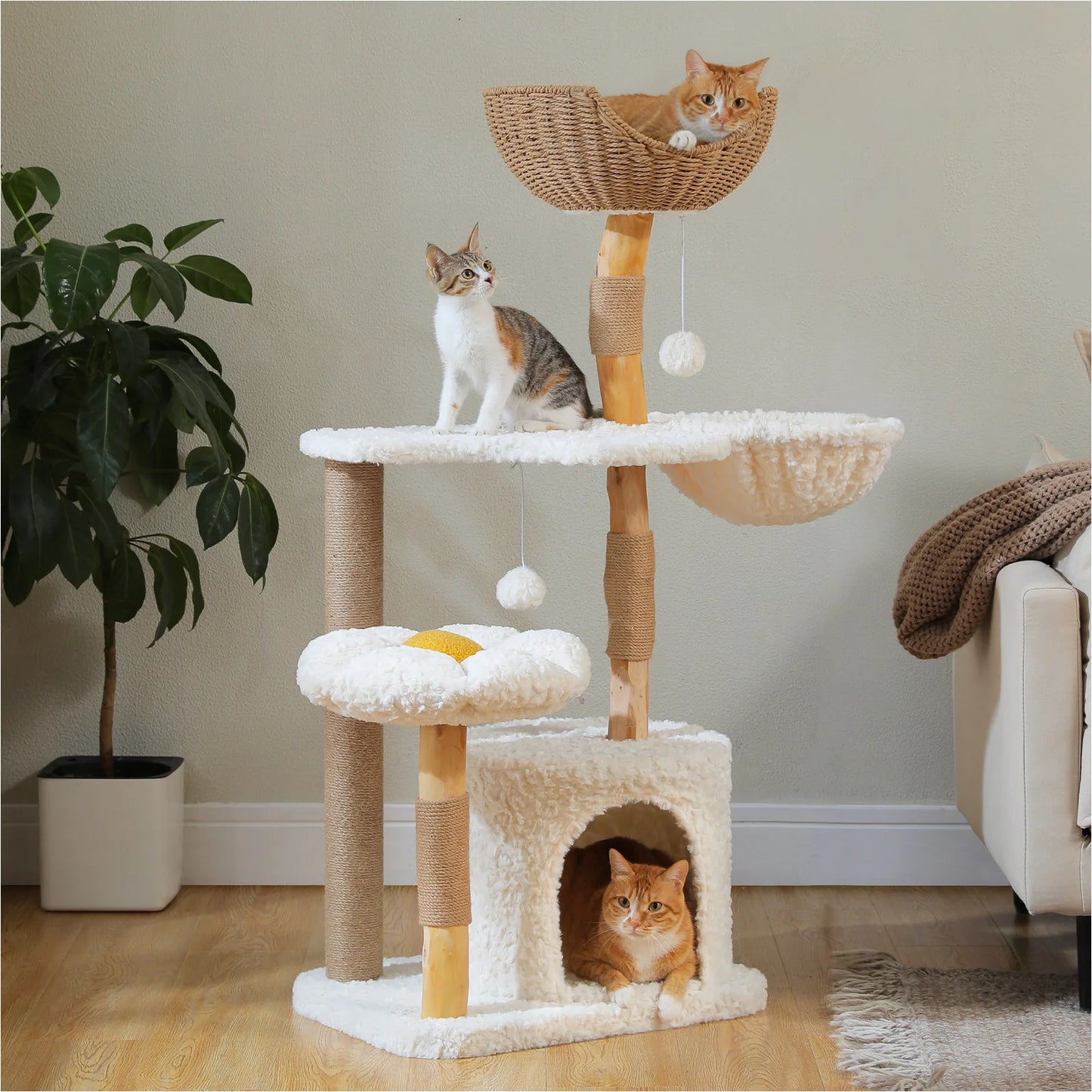 PAWZ Road Solid Wood Cat Tree Tower for Indoor Cats