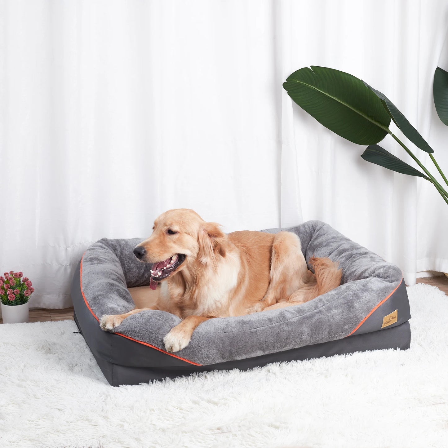 BINGOPAW Anti Allergy Dog Bed With Removable Washable Cover
