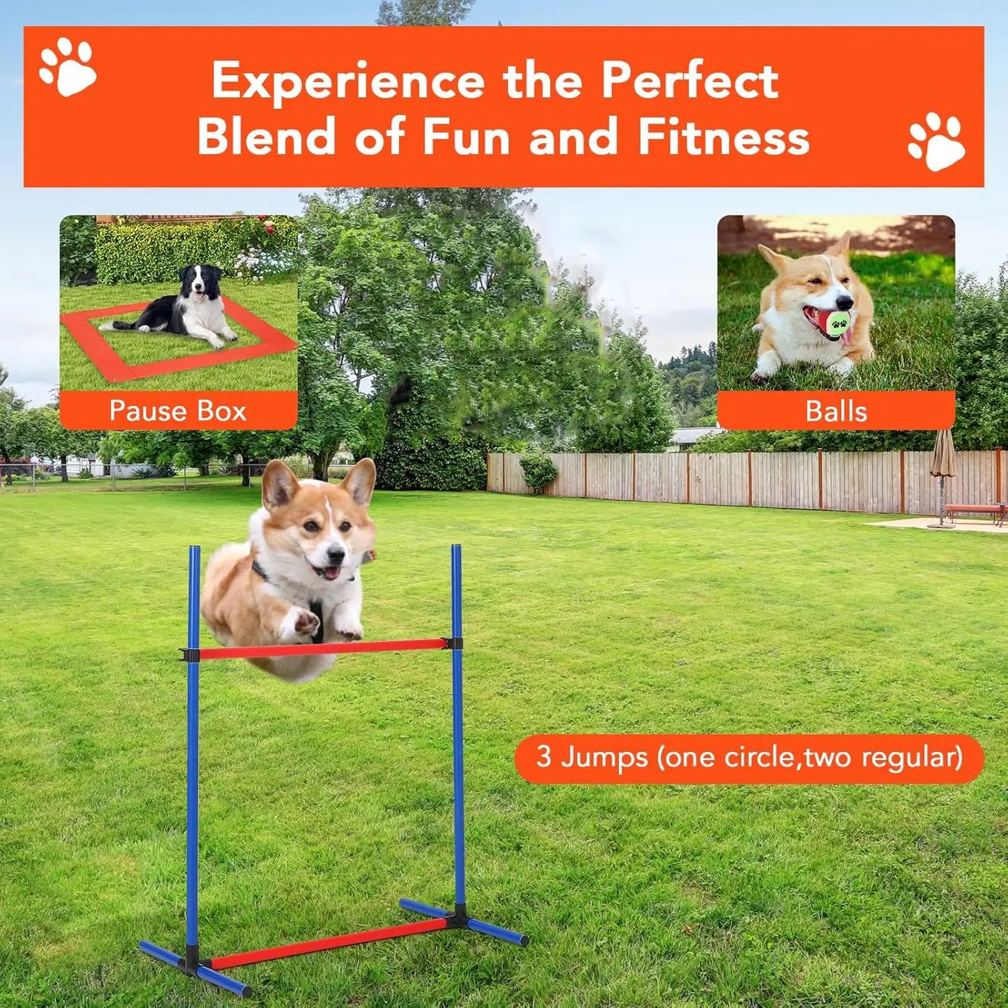 HiMISSH 87 Piece Dog Agility Training Equipment Set Obstacle Course Kit