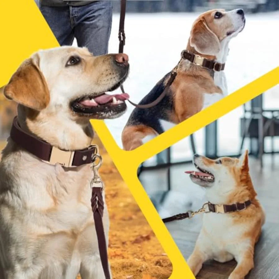 Heavy Duty Leather Dog Collar Leash Set With Metal Buckle